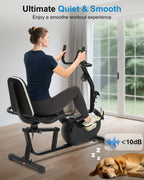 Recumbent Exercise Bike with Bright Backlit Display