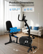 Recumbent Exercise Bike with Bright Backlit Display