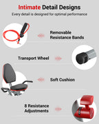 Recumbent Exercise Bike with Arm Exerciser for Home